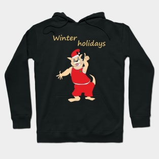 Winter holidays Hoodie